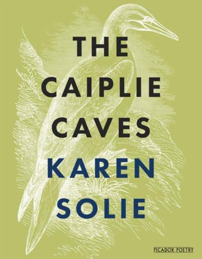 The Caiplie Caves Av Karen Solie