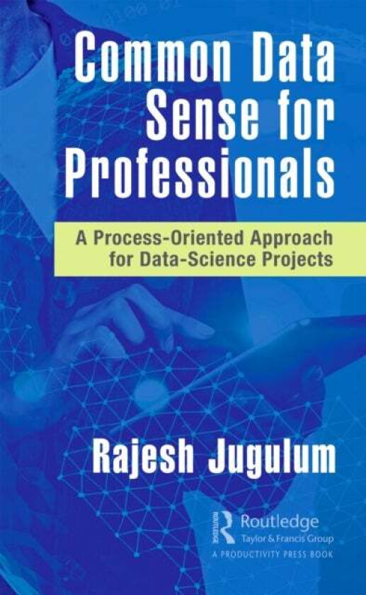 Common Data Sense for Professionals av Rajesh Jugulum