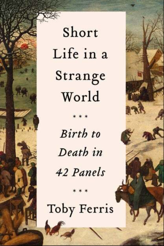 Short Life in a Strange World av Toby Ferris