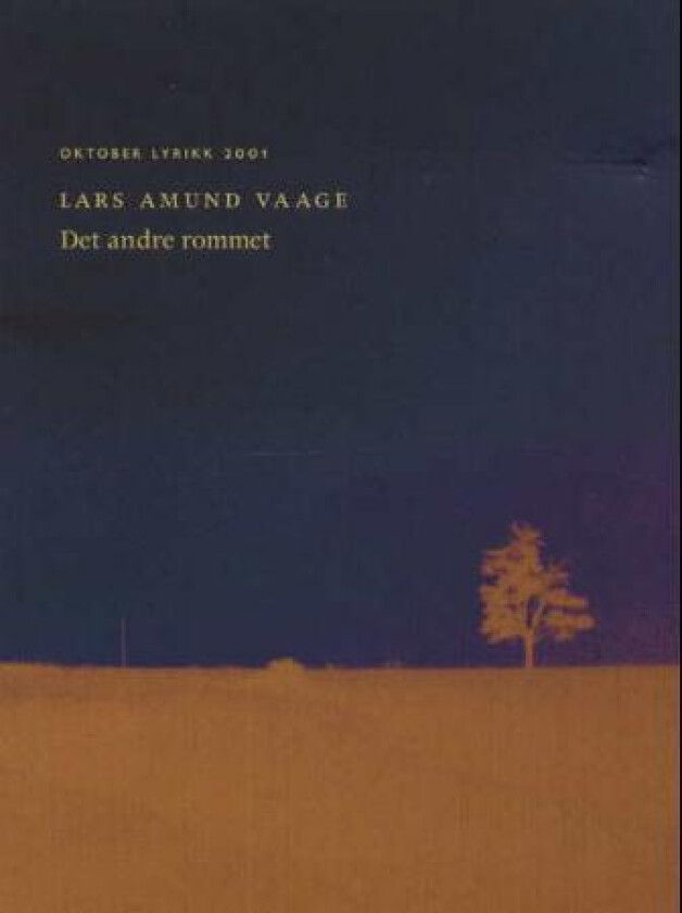 Det andre rommet av Lars Amund Vaage