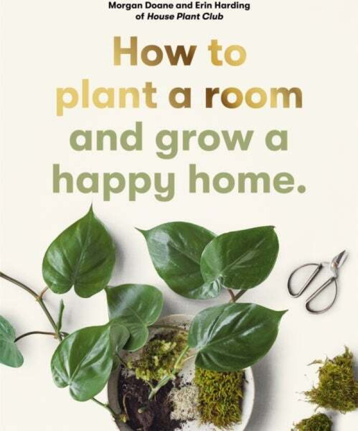 How to plant a room av Erin Harding, Morgan Doane