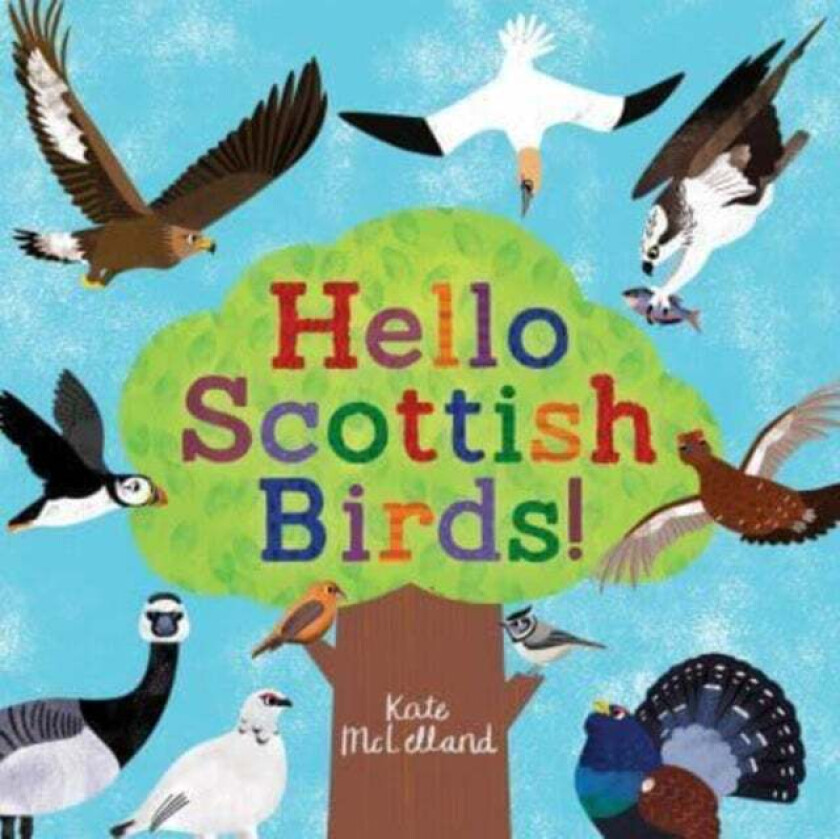 Hello Scottish Birds av Kate McLelland