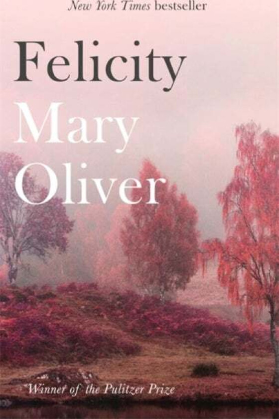 Felicity av Mary Oliver