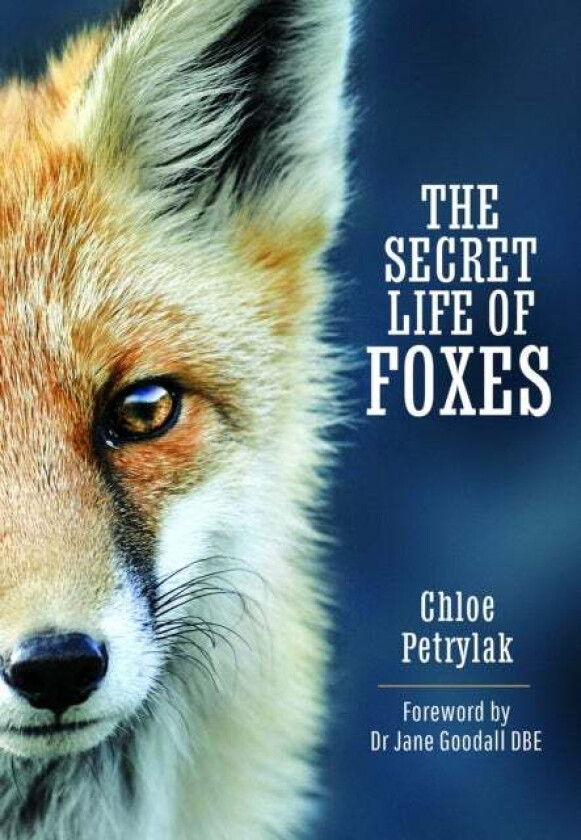 The Secret Life of Foxes av Chloe Petrylak