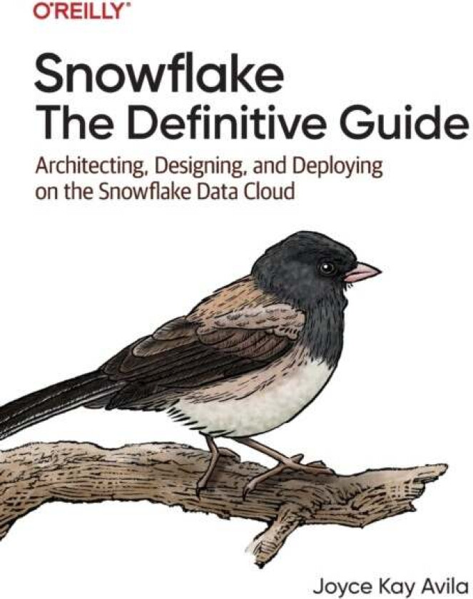 Snowflake - The Definitive Guide av Joyce Kay Avila