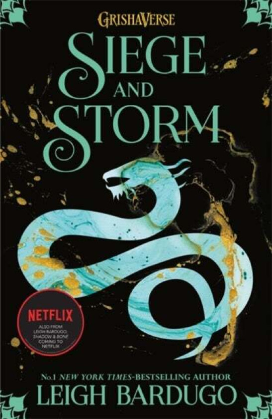 Siege and storm av Leigh Bardugo