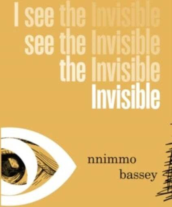 I See The Invisible av Nnimmo Bassey