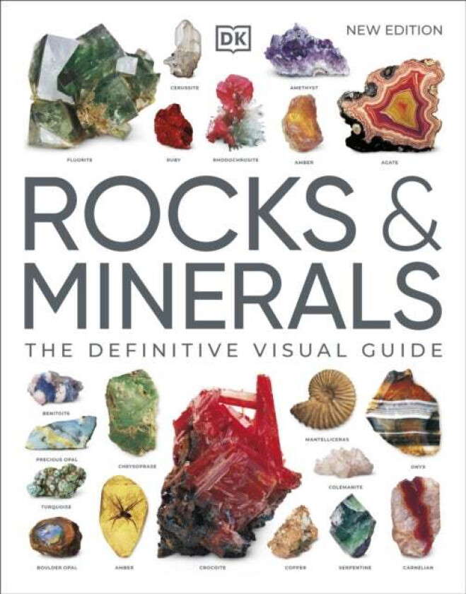 Rocks & Minerals av DK