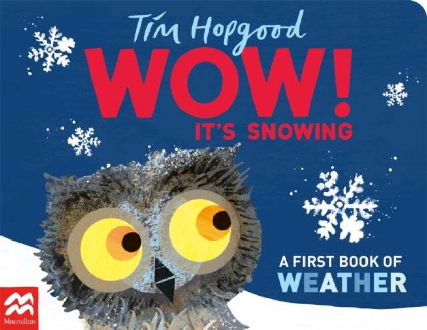WOW! It's Snowing av Tim Hopgood