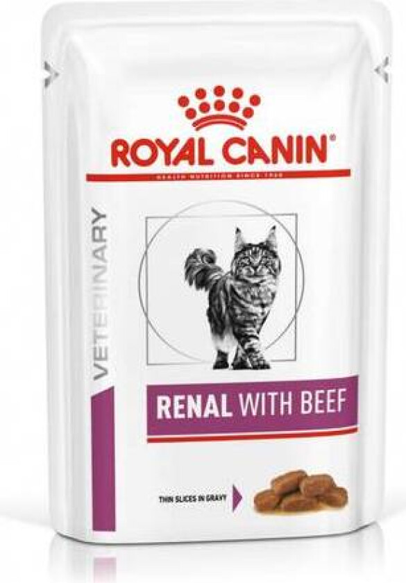 Royal Canin Veterinery Diets Cat Renal (2 kg)