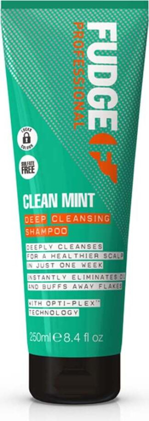 Clean Mint Purifying Shampoo