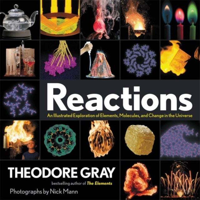 Reactions av Theodore Gray