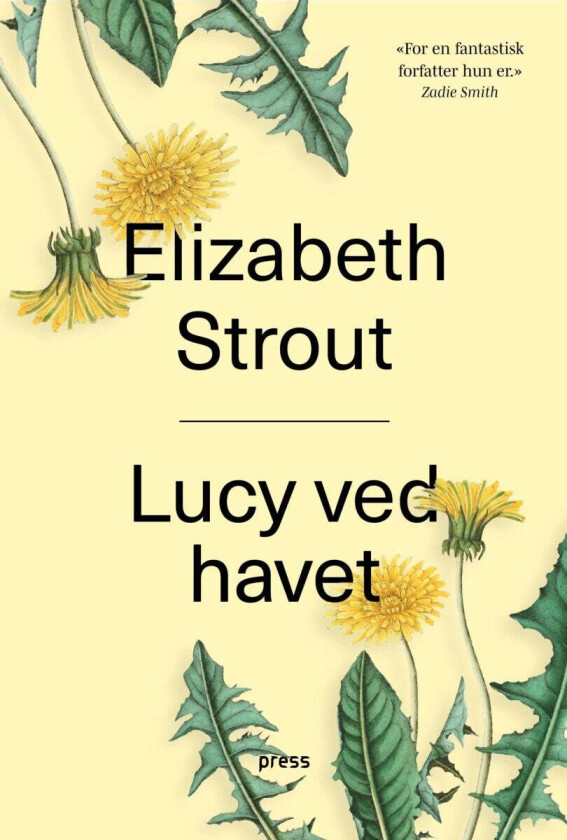 Lucy ved havet av Elizabeth Strout
