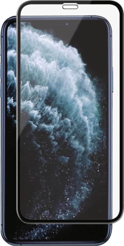 panzer iPhone XS Max/11 Pro Max, Curved Silicate Glass, black