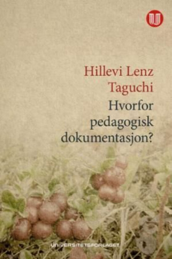 Hvorfor pedagogisk dokumentasjon? av Hillevi Lenz Taguchi