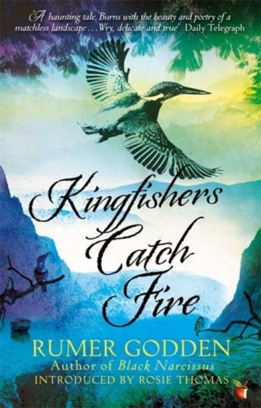 Kingfishers Catch Fire av Rumer Godden