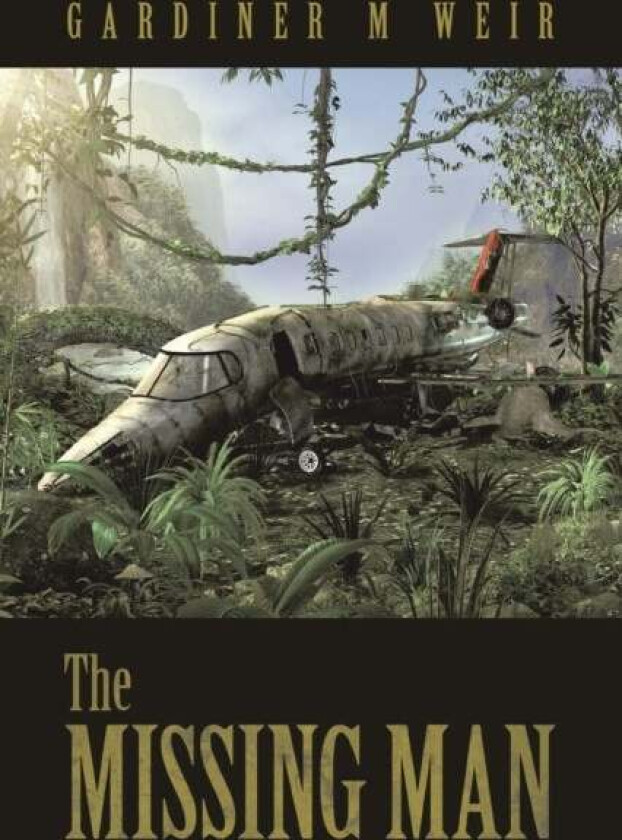 The Missing Man av Gardiner M Weir