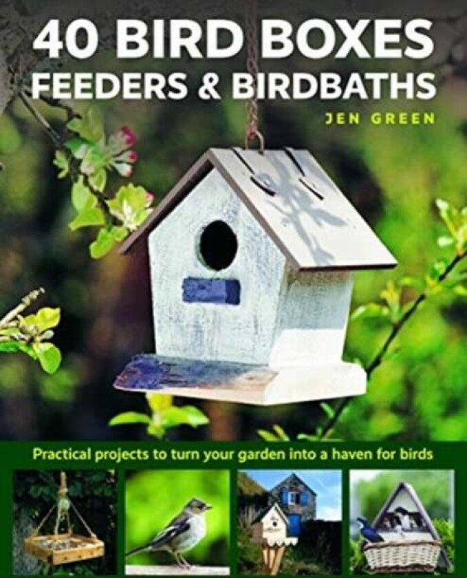 40 Bird Boxes, Feeders & Birdbaths av Jen Green