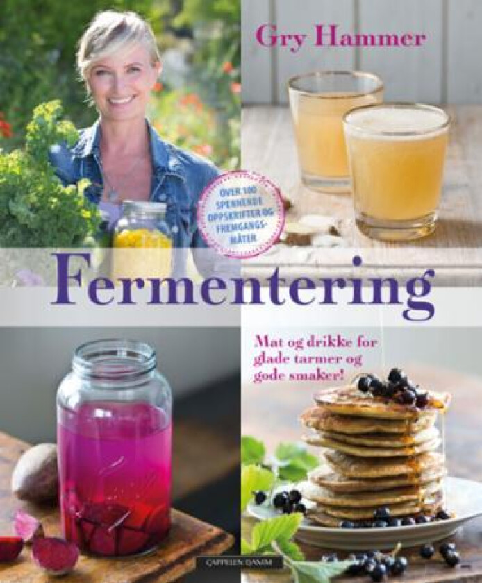 Fermentering av Gry Hammer