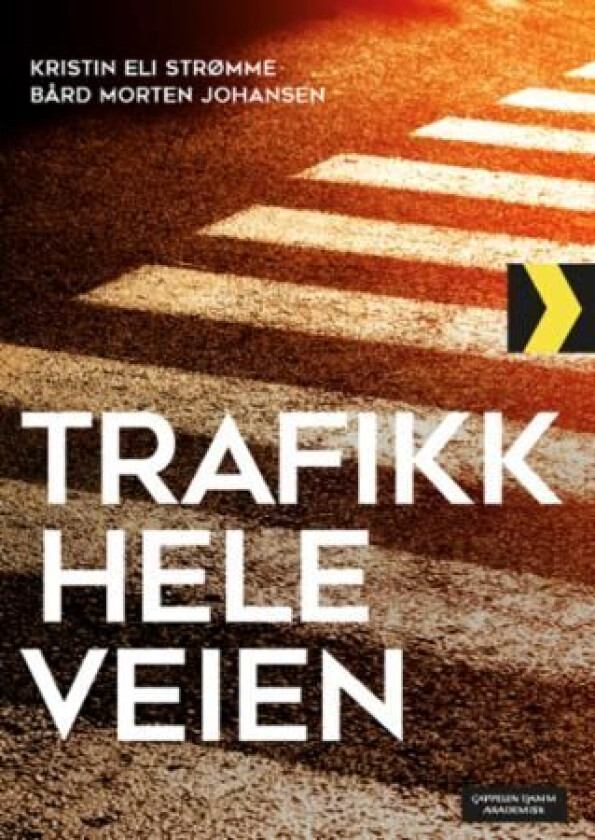Trafikk hele veien av Bård Morten Johansen, Kristin Eli Strømme