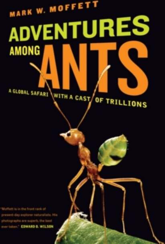 Adventures among Ants av Mark W. Moffett