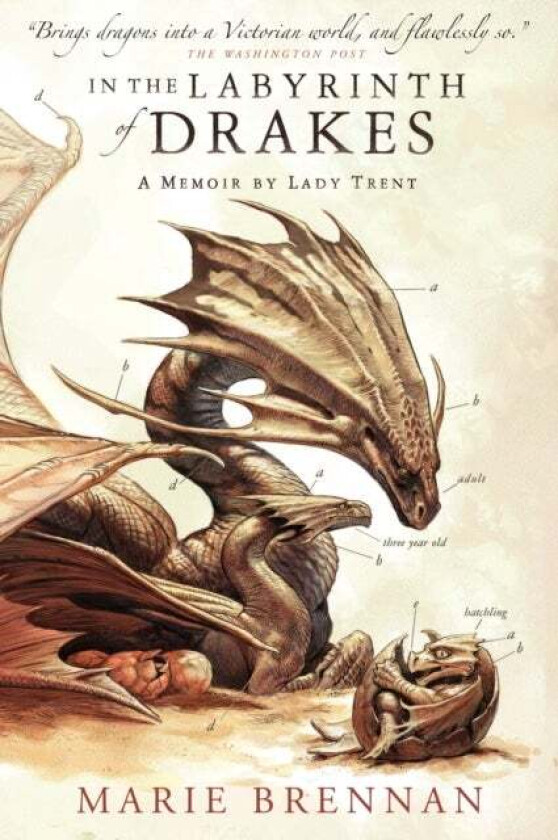 In the Labyrinth of Drakes av Marie Brennan