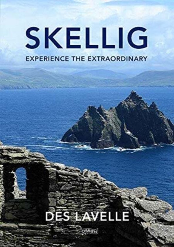 Skellig av Des Lavelle