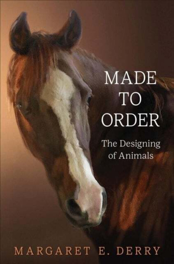 Made to Order av Margaret E. Derry