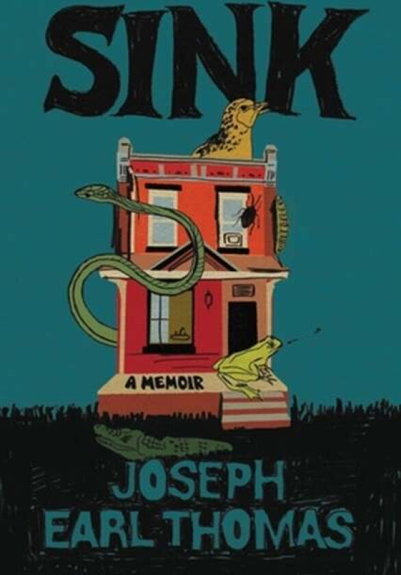Sink av Joseph E Thomas
