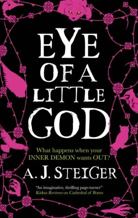 Eye of a Little God av A.J. Steiger