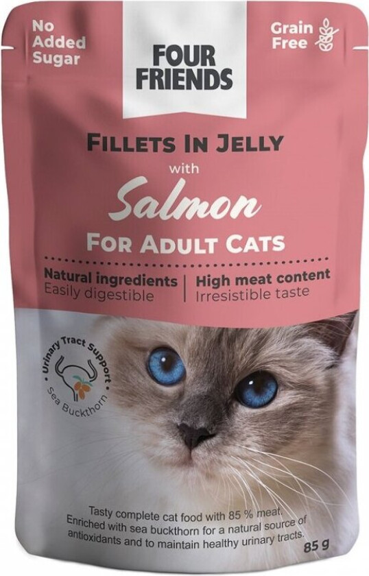 Four Friends Cat Adult Salmon in Jelly 85 g