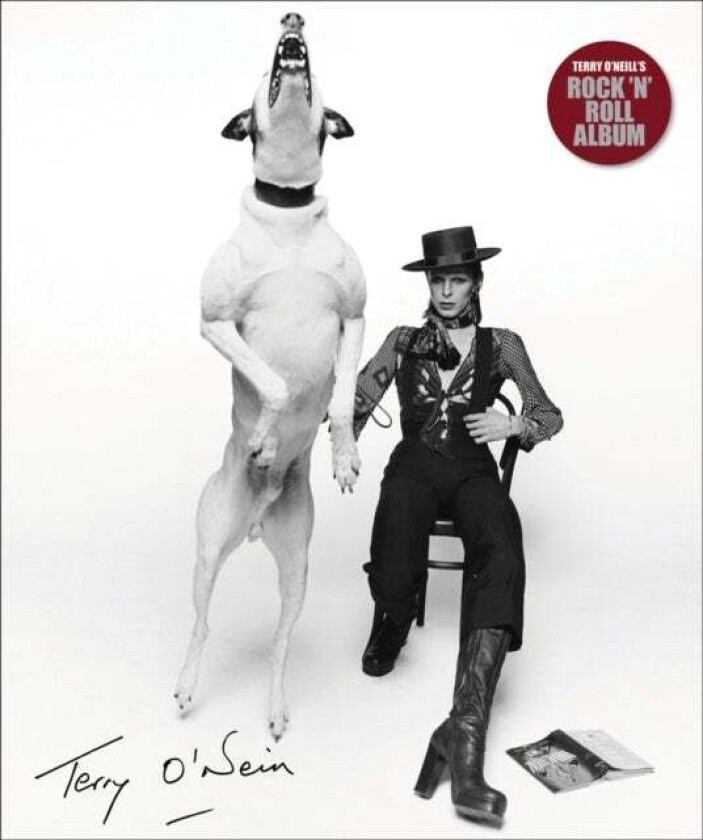 Terry O'Neill's Rock 'n' Roll Album av Terry CBE O'Neill