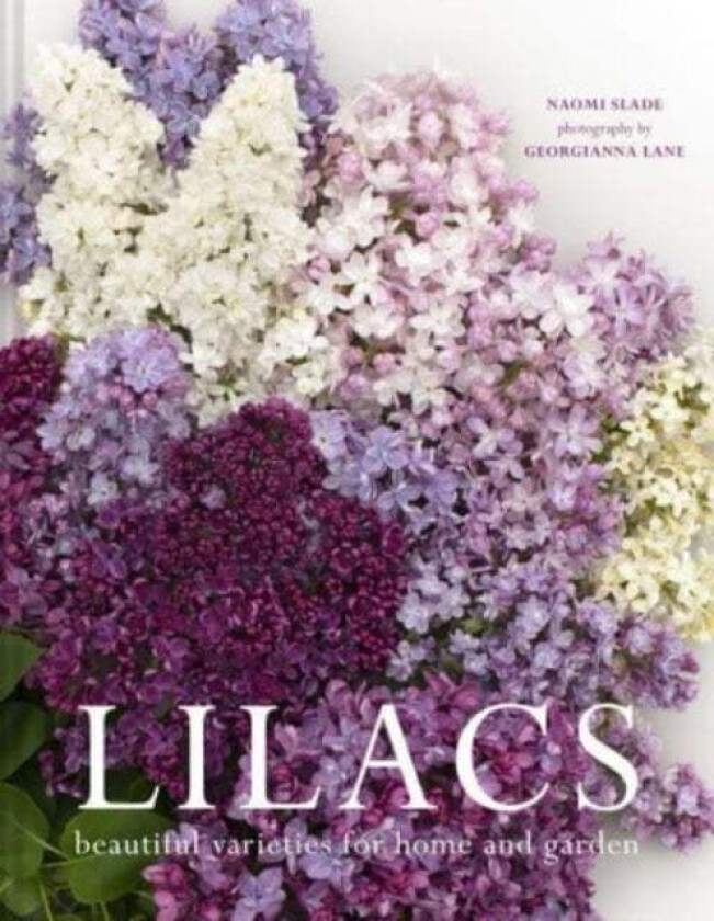 Lilacs av Naomi Slade