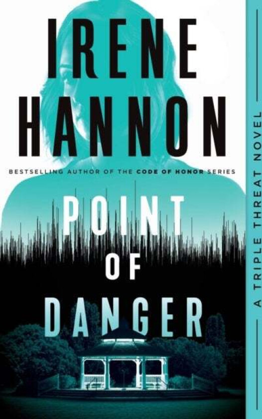 Point of Danger av Irene Hannon