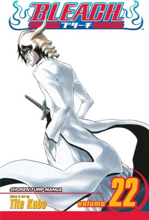 Bleach, Vol. 22 av Tite Kubo