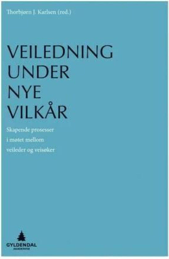 Veiledning under nye vilkår