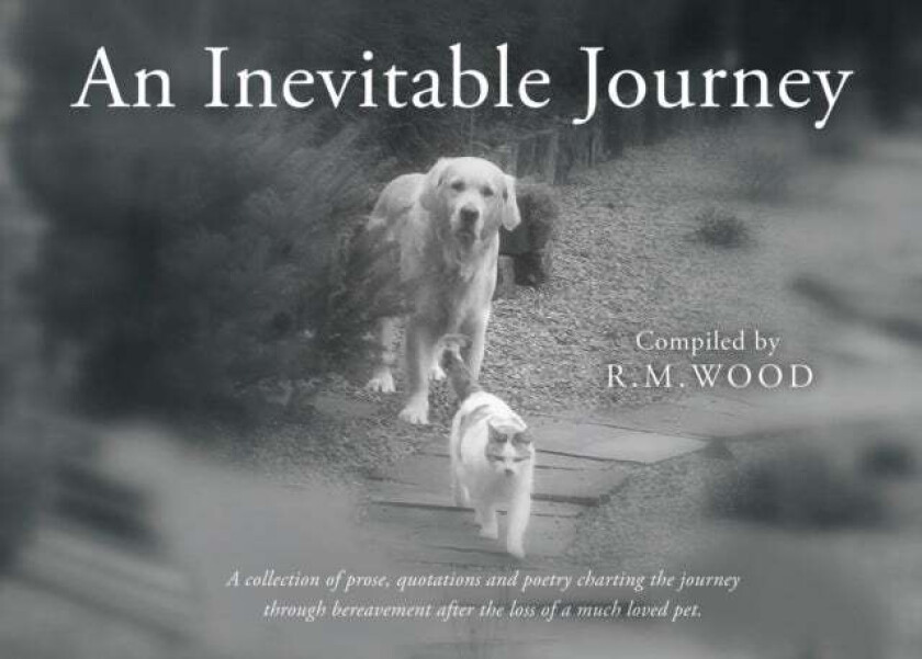An Inevitable Journey av R.M. Wood