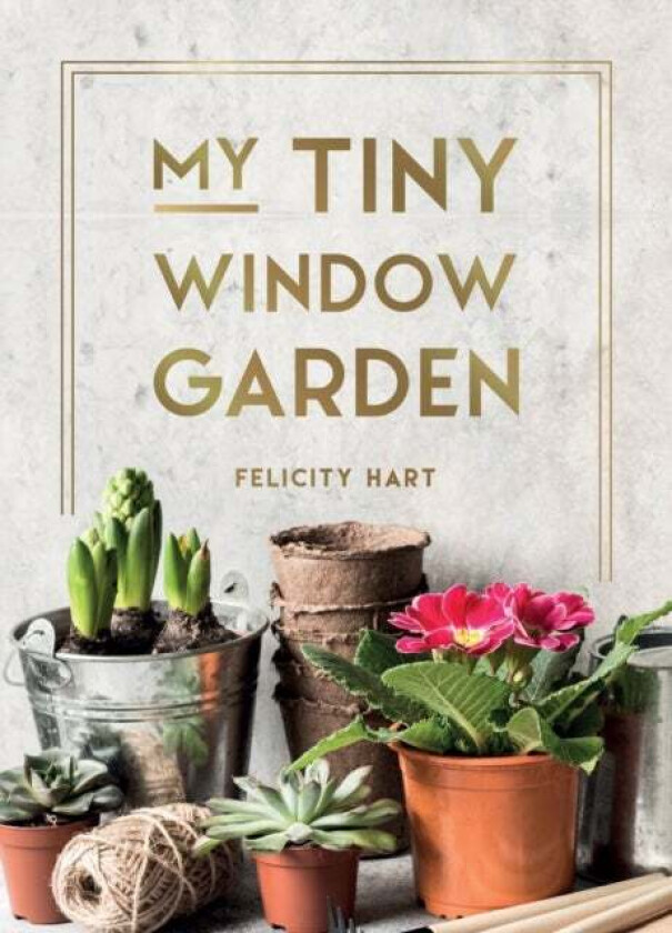 My Tiny Window Garden av Felicity Hart