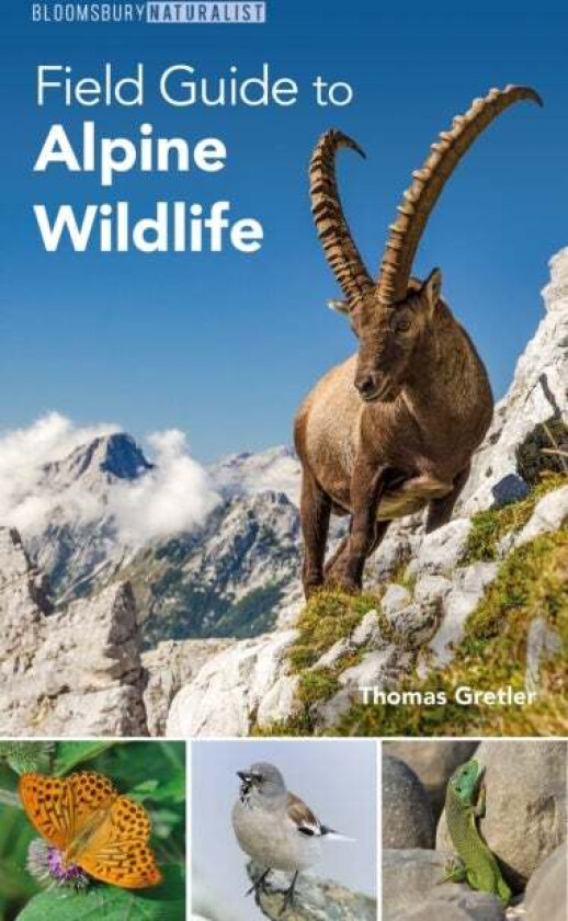 Field Guide to Alpine Wildlife av Thomas Gretler