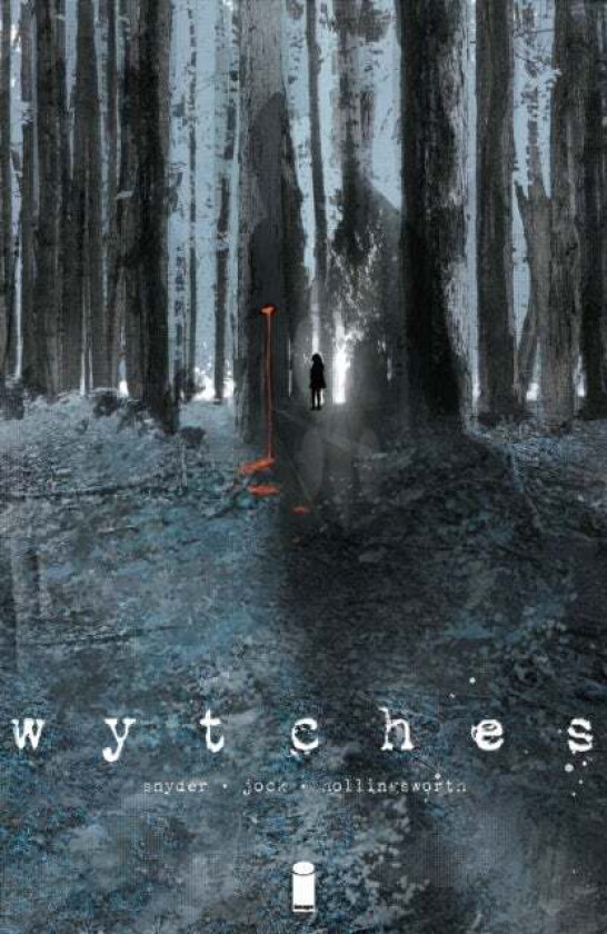 Wytches Volume 1 av Scott Snyder