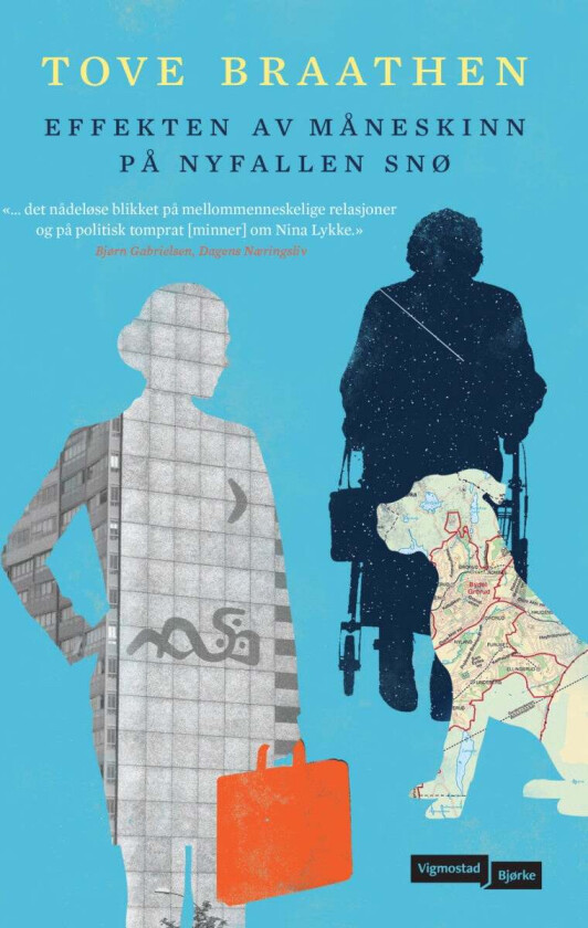 Effekten av måneskinn på nyfallen snø av Tove Braathen