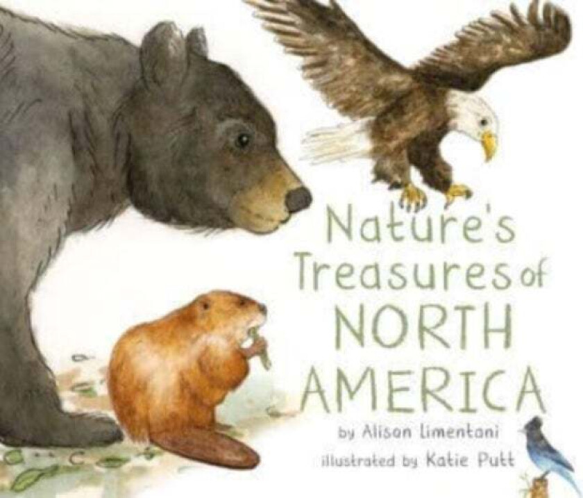 Nature's Treasures of North America av Alison Limentani