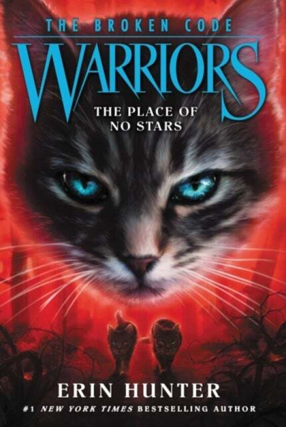 Warriors: The Broken Code #5: The Place of No Stars av Erin Hunter
