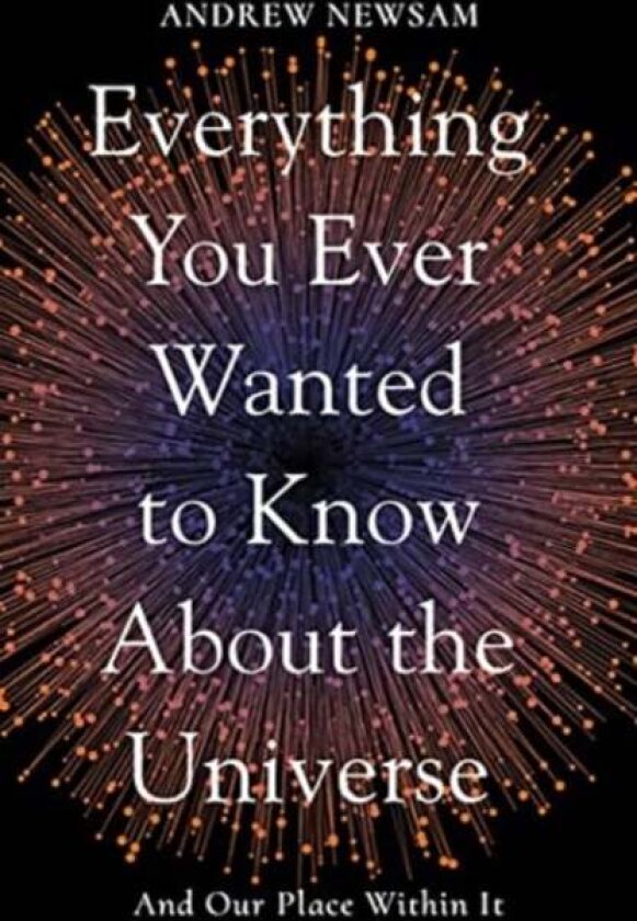 Everything You Ever Wanted to Know About the Universe av Professor Andrew Newsam