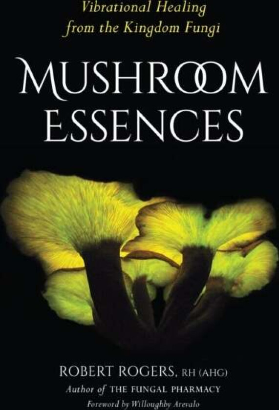 Mushroom Essences av Robert Rogers