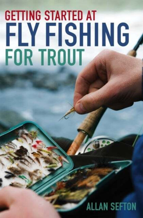 Getting Started at Fly Fishing for Trout av Allan Sefton