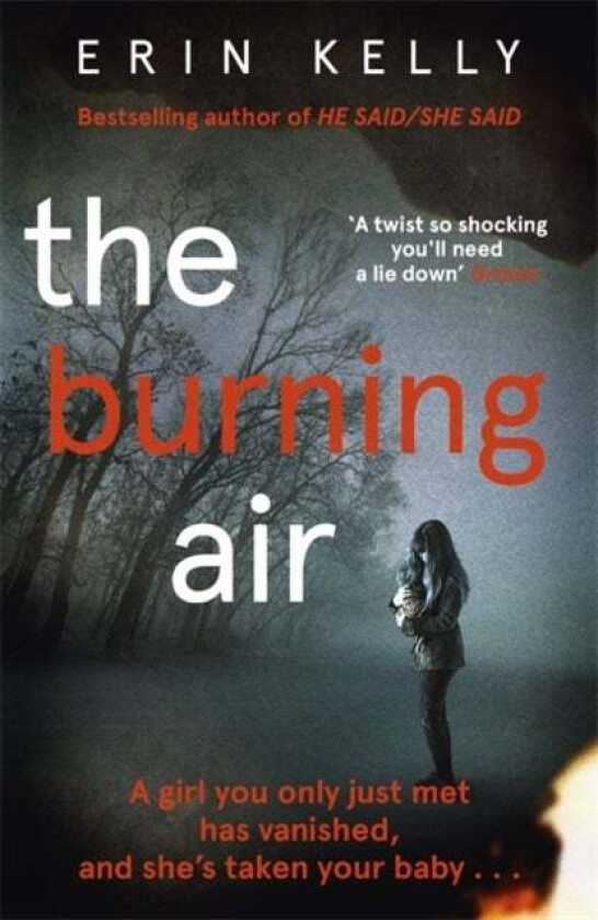 The Burning Air av Erin Kelly
