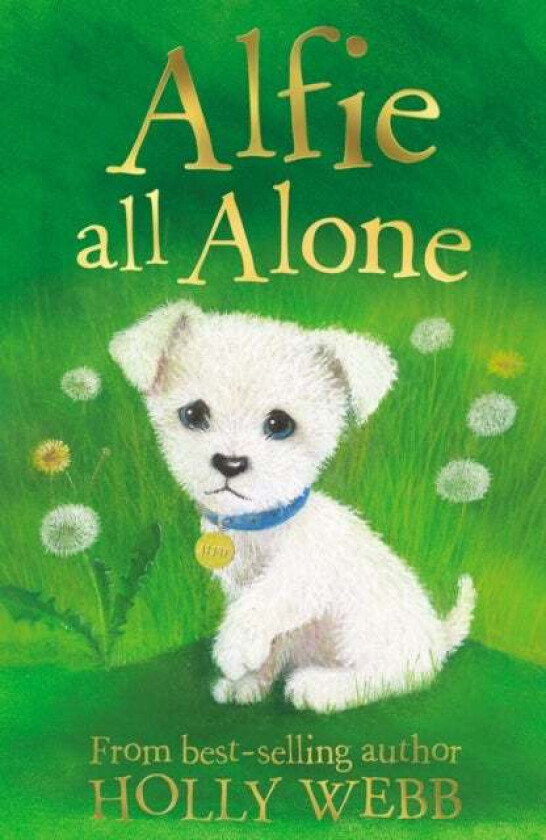 Alfie All Alone av Holly Webb