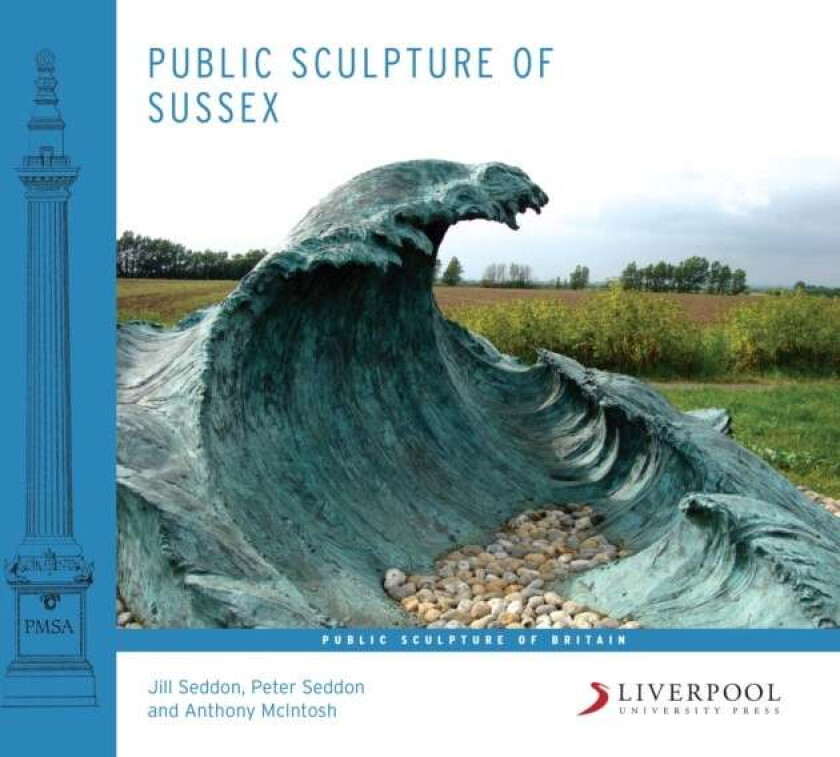 Public Sculpture of Sussex av Jill Seddon, Peter Seddon, Anthony McIntosh