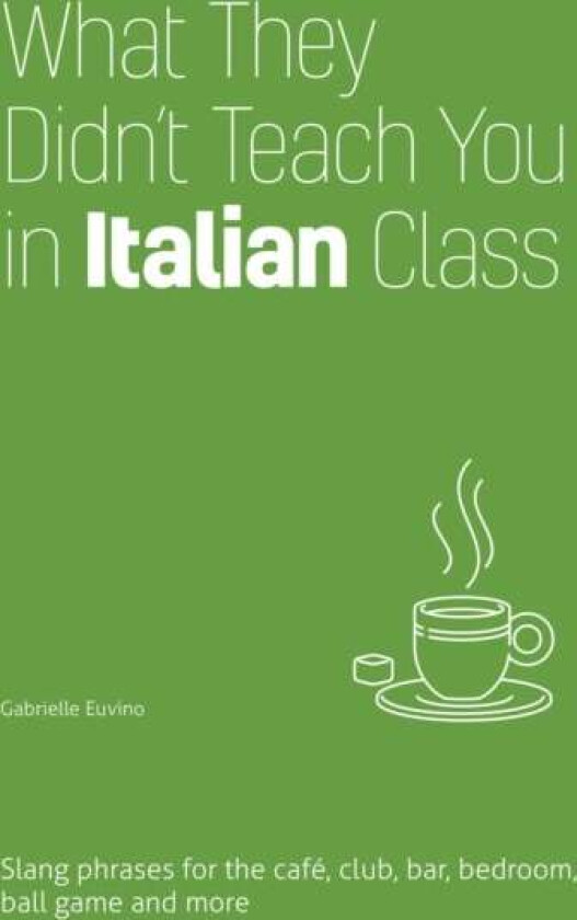 What They Didn't Teach You In Italian Class av Erin Coyne, Igor Fisun